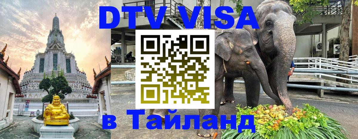 Visa ДТВ Тайланд помощь 